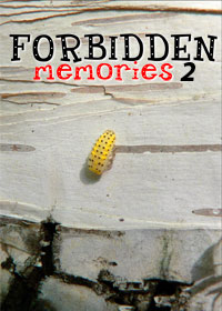Forbidden Memories 2