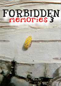 Forbidden Memories 3 - dvd cover